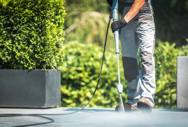 Best Animal Enclosure Cleaning  in Choctaw Lake, OH